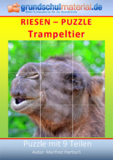 Riesenpuzzle_Trampeltier.pdf